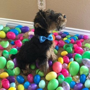 Meet your Posher, Corinne